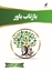 تصویر از بازتاب باور
