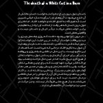 2مرگ گربه ی سفید در انباری
