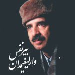 بیر نفس