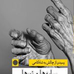 سایه ها و نور ها