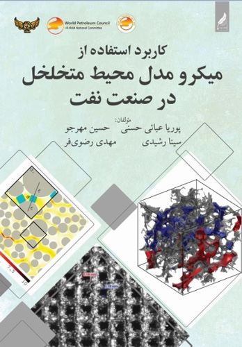 میکرو-مدل